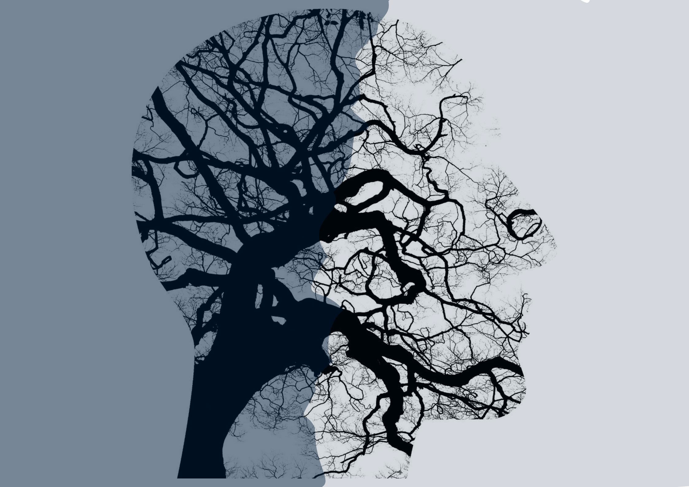 A silhouette of a man's head with a network of tree branches in different directions. He needs individual therapy